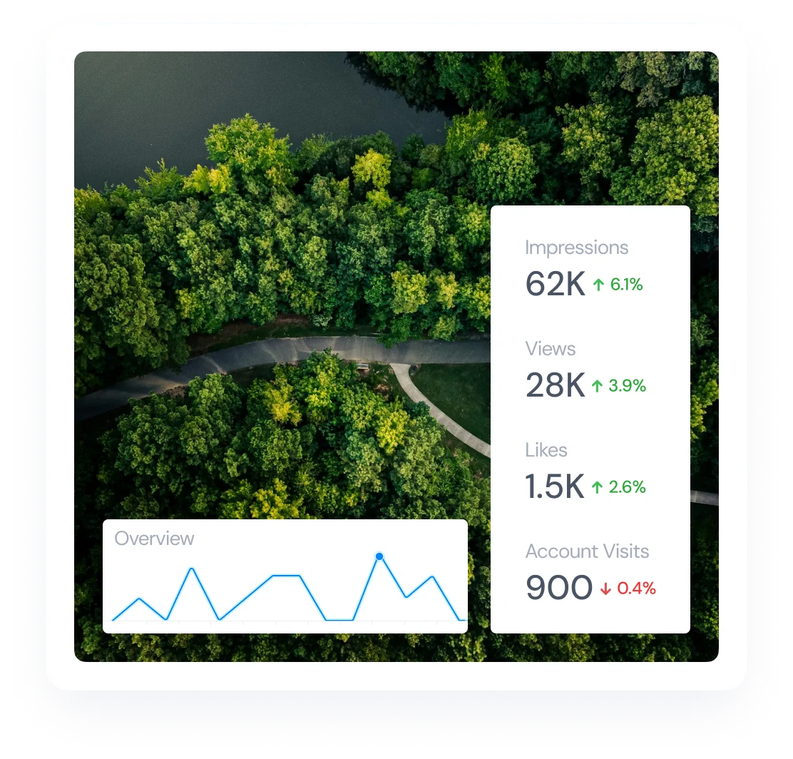 analyze your audience insights