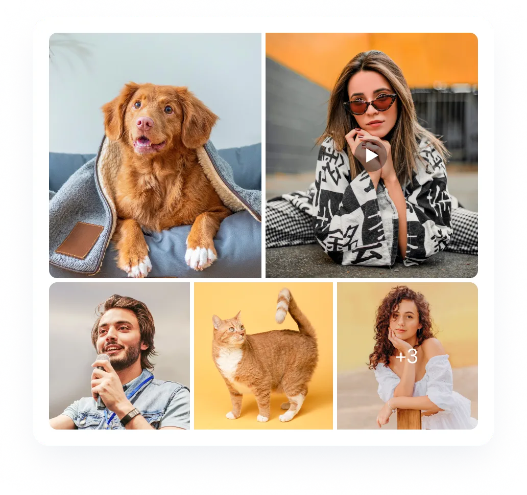 schedule image, video, album posts to Instagram