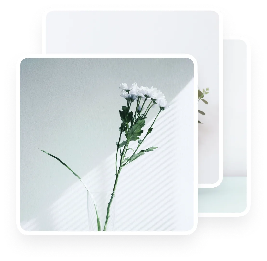 bulk import and schedule pinterest posts